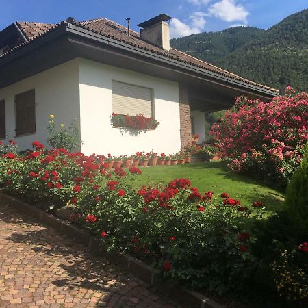 Weingut Zundlhof Villa Bolzano Eksteriør bilde
