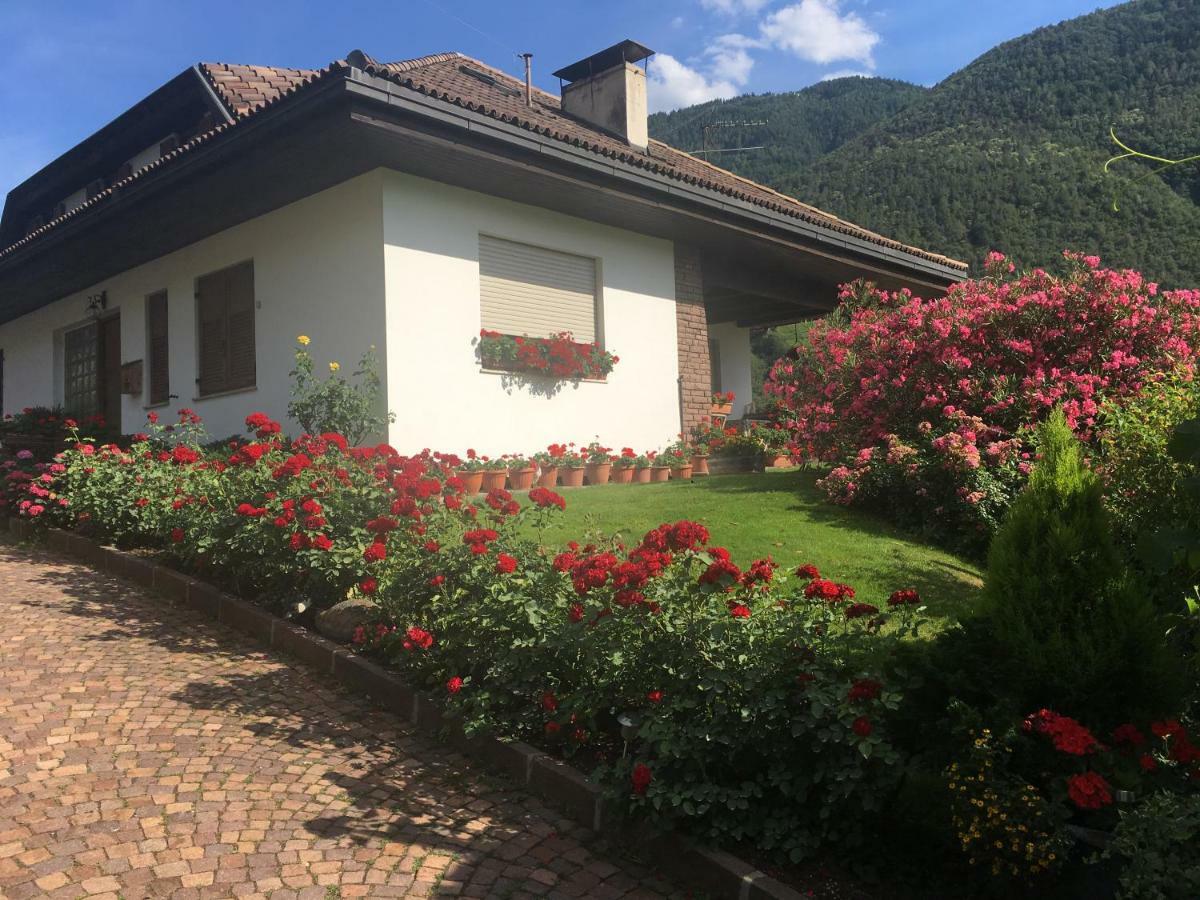 Weingut Zundlhof Villa Bolzano Eksteriør bilde